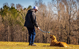 Hundetraining Ahlen jetzt buchen!